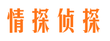 泰兴侦探公司